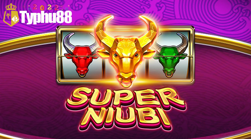 Thuật ngữ khi chơi game Super Niubi 